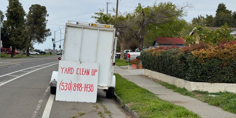 Well-known Yard Clean Up sign in Davis, CA