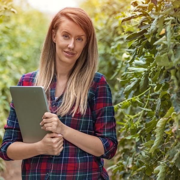red-headed woman with laptop in a corn field